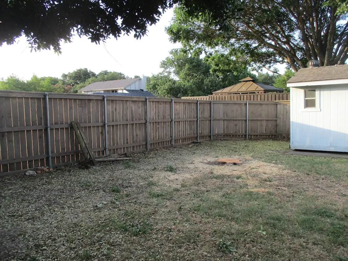 Cleared yard after professional tree removal in Dansville